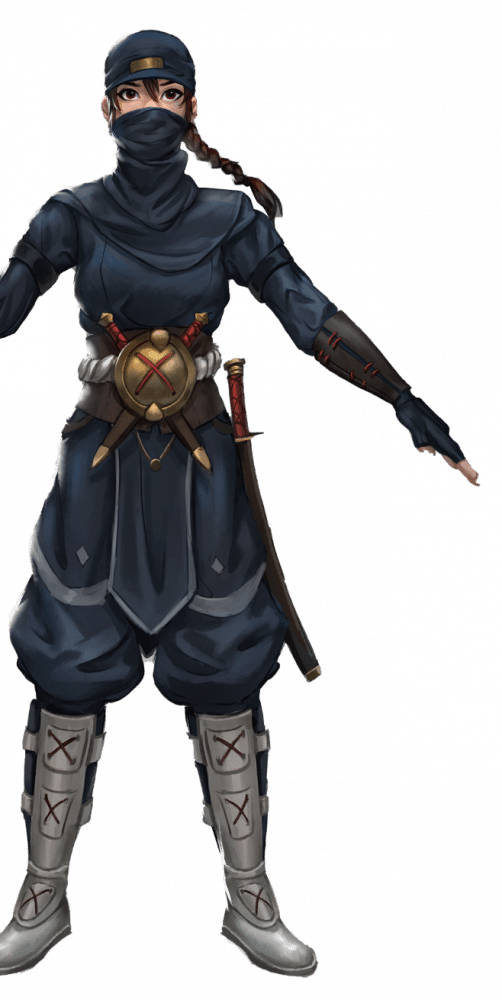 Ninja Character